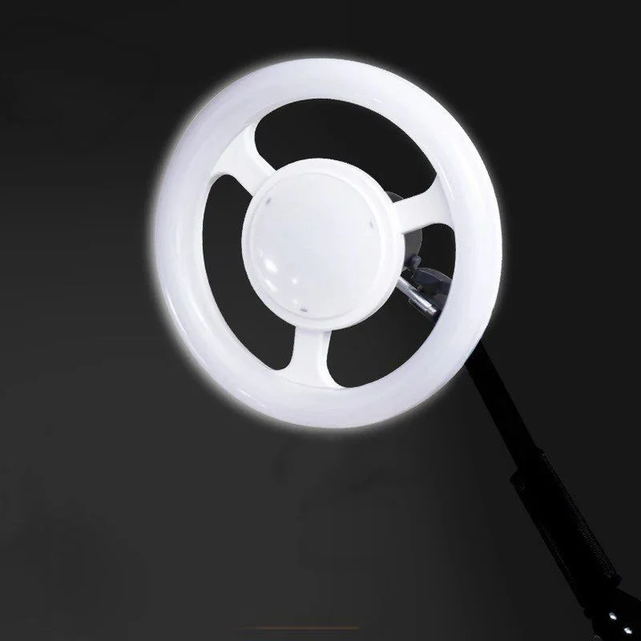 led-natura-photo-2