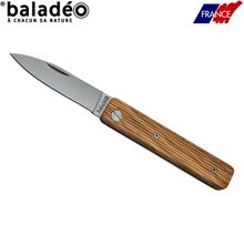 Product image of Folding paring knife 'Papagayo', olive tree wood