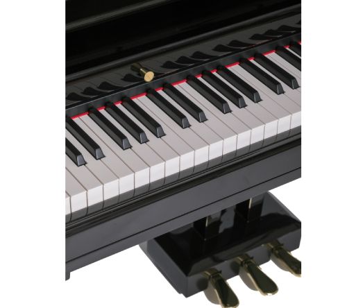 orla-grand-500-black-tsifruli-roiali-photo-3