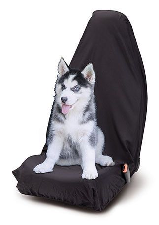 bottari-manqanis-gadasakravi-tskhovelebistvis