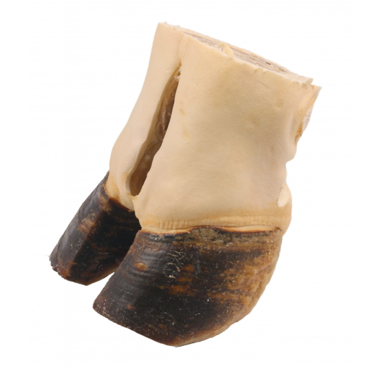 titbit-saqonlis-ukana-fekhis-sakhsari---sasusnao-dzaghlebistvis---rbili-shefutva-480gr-photo-3