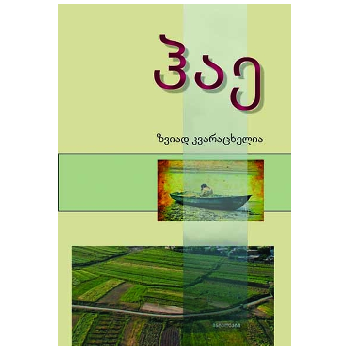 zviad-kvaratskhelia---hae