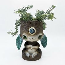 Product image of Dear Plants Sedum Reflexum მცენარე დეკორატიული ქოთნით