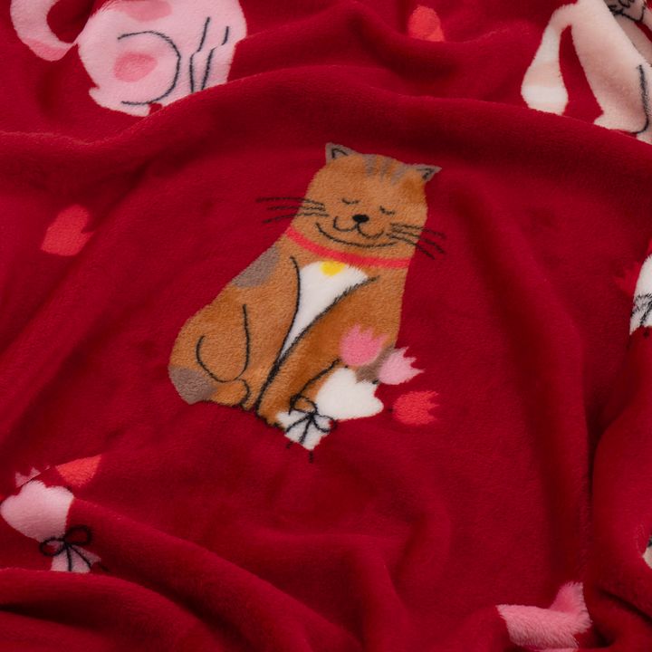 ardesto-art0124pb-pledi-photo-2