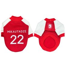 Product image of ძაღლის თბილი მაისური S - მიქაუტაძე