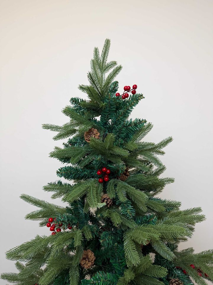 ctrim-nadzvis-khe-girchebit-da-kenkrit-photo-3