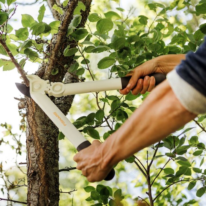 fiskars-white-lopper-l32-totsachreli-photo-2