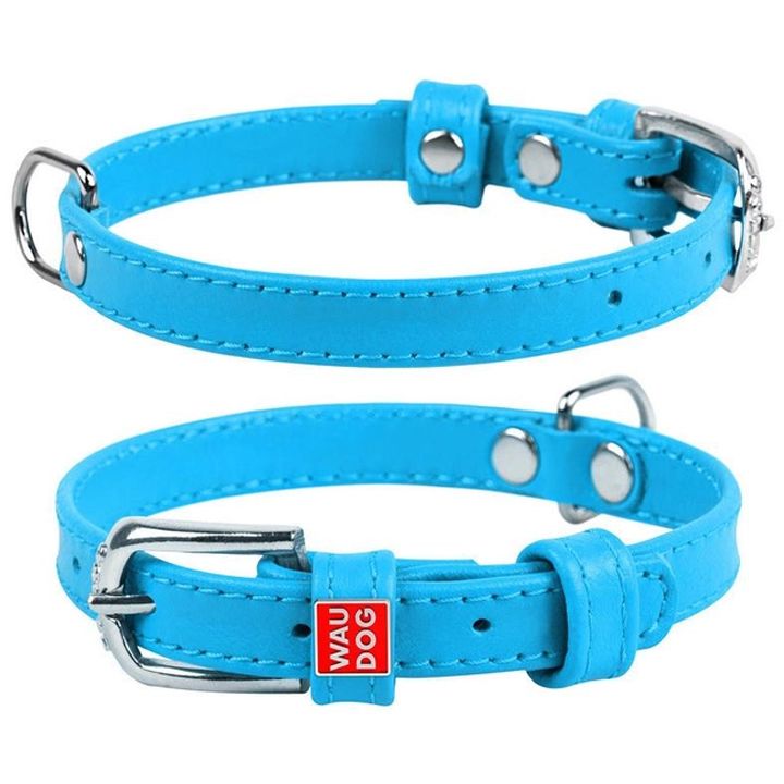 collar-dzaghlis-saqelo-photo-2