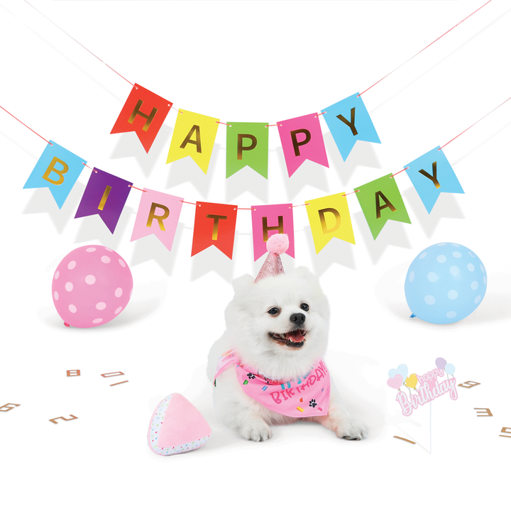 m-pets-party-time-dzaghlis-dabadebisdghis-aqsesuarebi-photo-3