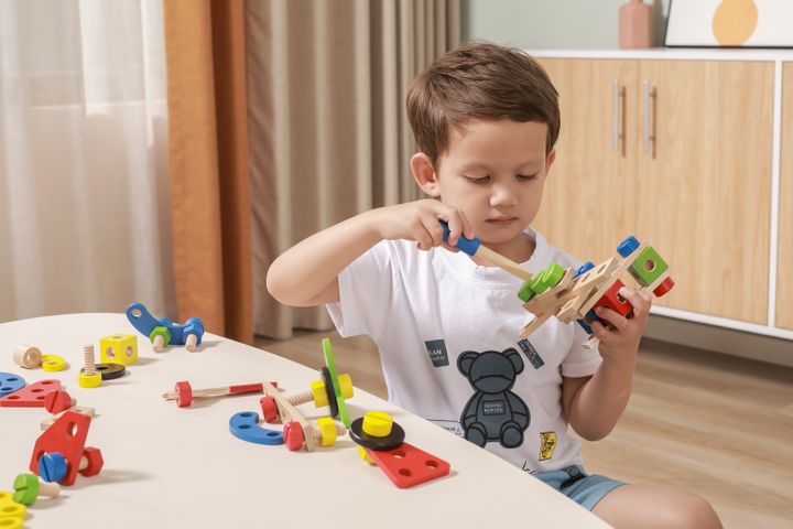 viga-khis-satamasho-konstruqtori-photo-2