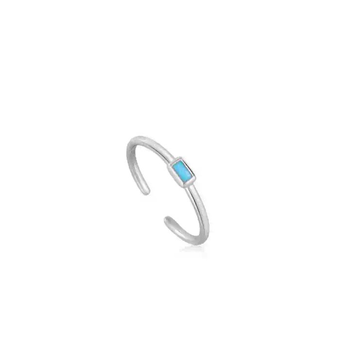 ania-haie-r033-01h-qalis-bechedi