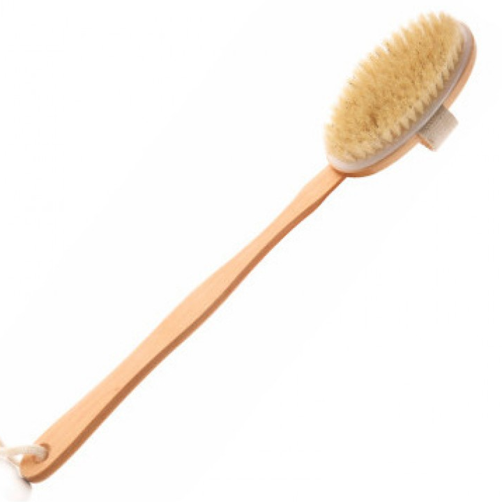 paradise-abazanis-jagrisi