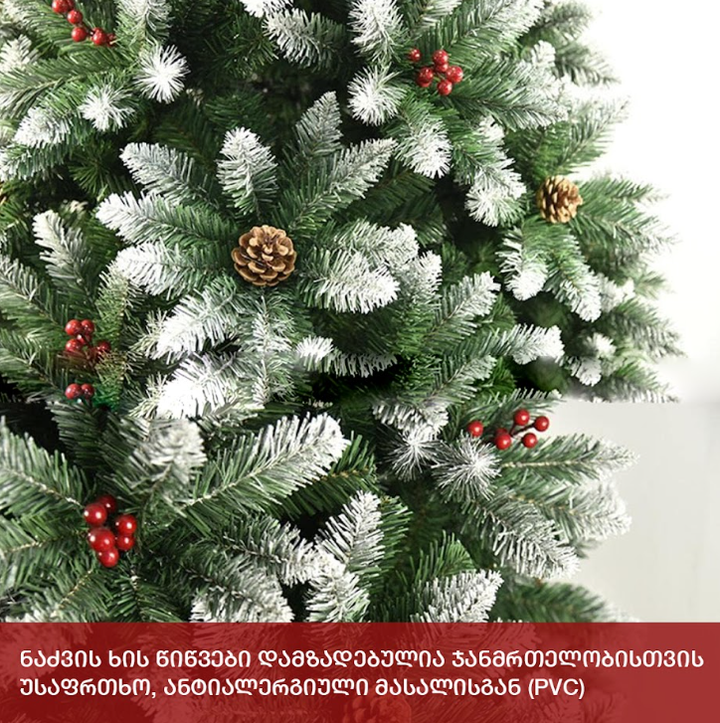 nadzvis-khe-pragha-150-sm-cs-150-photo-4