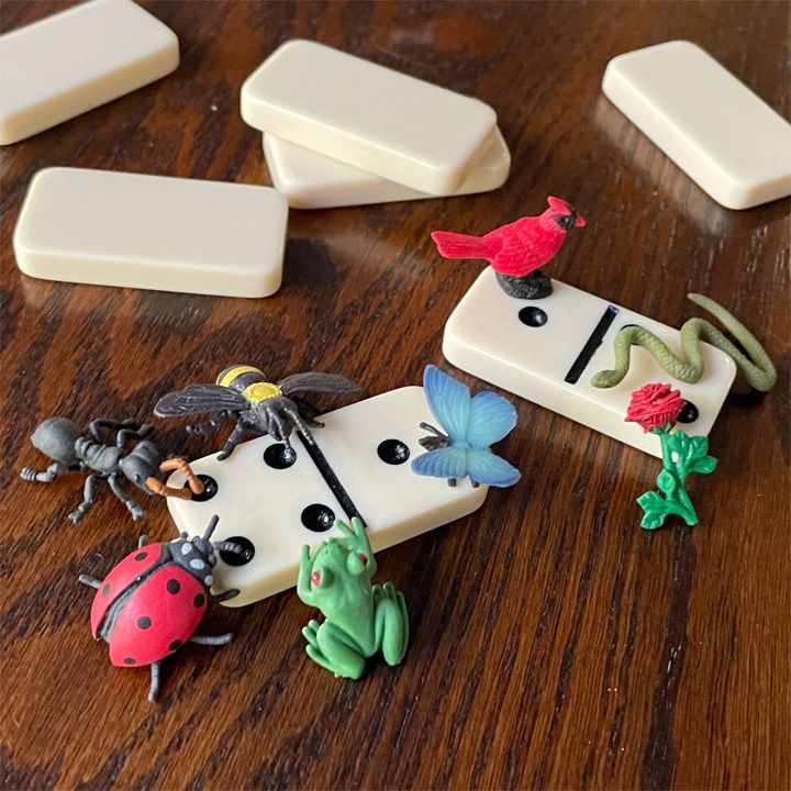 safari-fun-pack-garden-satamasho-figurebi-photo-3