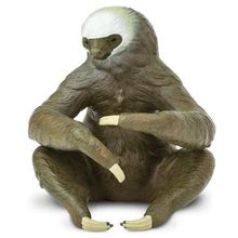 Product image of SAFARI Two-Toed Sloth Toy სათამაშო ფიგურა