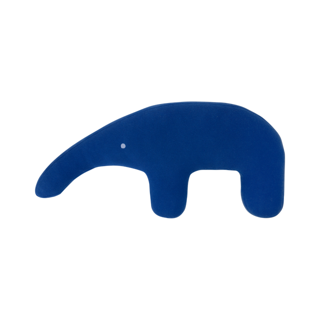 remember-edgar-sabavshvo-balishi