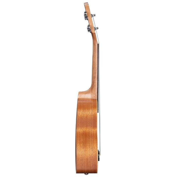 cascha-urban-ukulele-photo-2