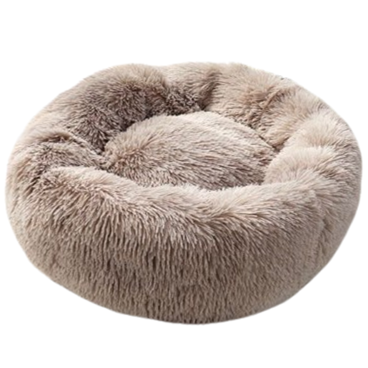 petsup-shinauri-tskhovelis-satsoli