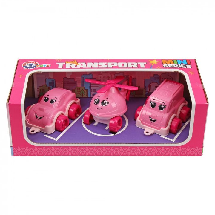 technok-satamasho-mini-transportis-nakrebi