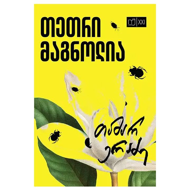 tetri-magnolia
