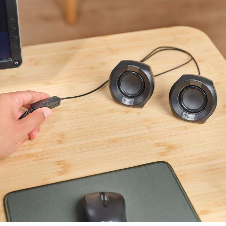 trust-polo-20-kompiuteris-dinamikebi-photo-2