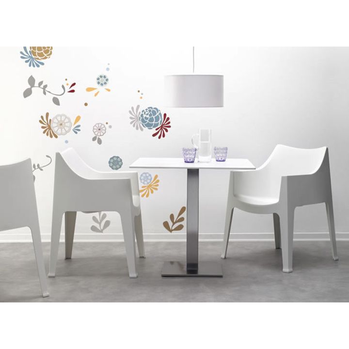 scab-coccolona-skami-photo-3