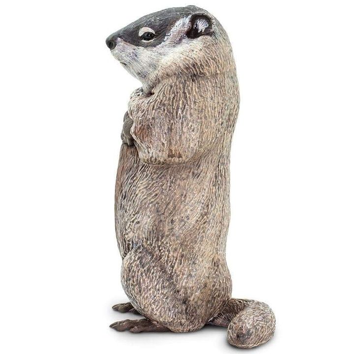 safari-groundhog-satamasho-figura-photo-3