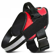 Product image of ძაღლის საბელი (S)