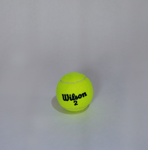 wilson-chogburtis-burti-photo-4