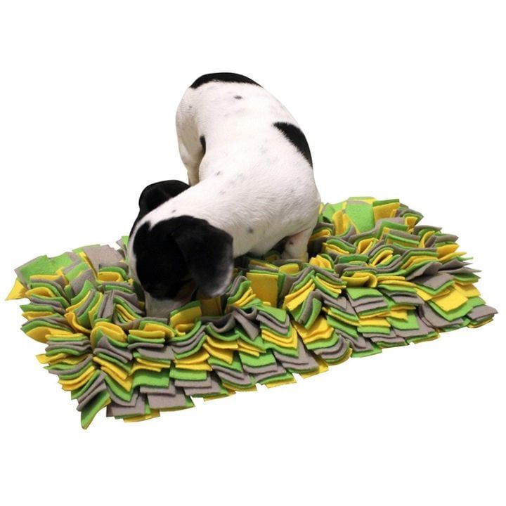 kerbl-dzaghlis-sneqebis-chasadebi-khalicha-photo-4