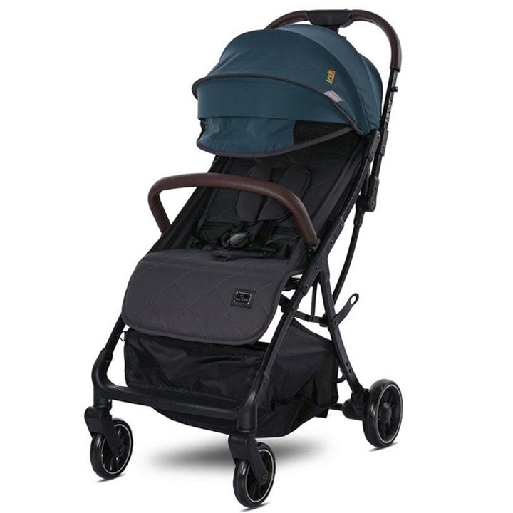 lorelli-minori-sabavshvo-etli-photo-4