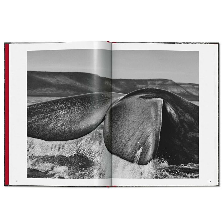 lelia-wanick-salgado---sebastiao-salgado-genesis-photo-4