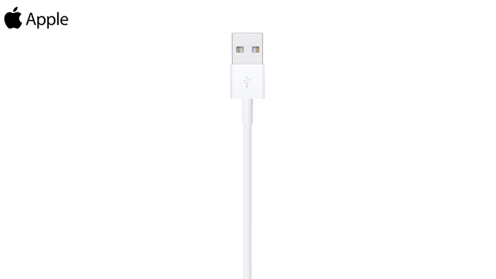 apple-md819-a1510-lightning-to-usb-cable-2m-photo-2