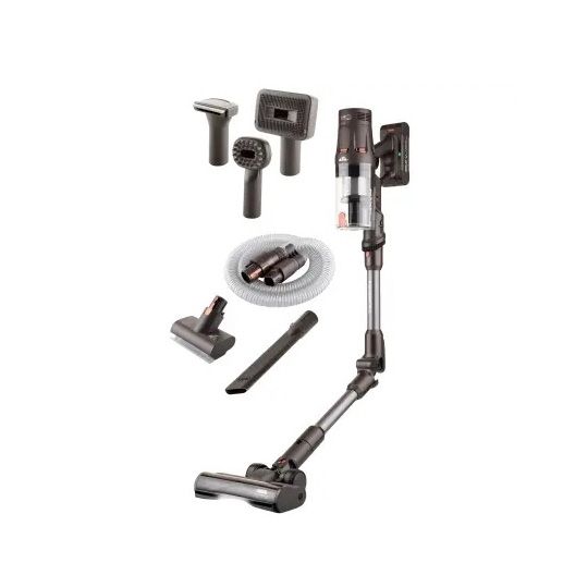 eta524790000-terier-khelis-mtversasruti-photo-2