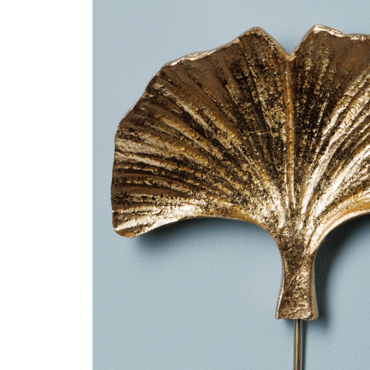 laboratory-my-home-sakidi-photo-4