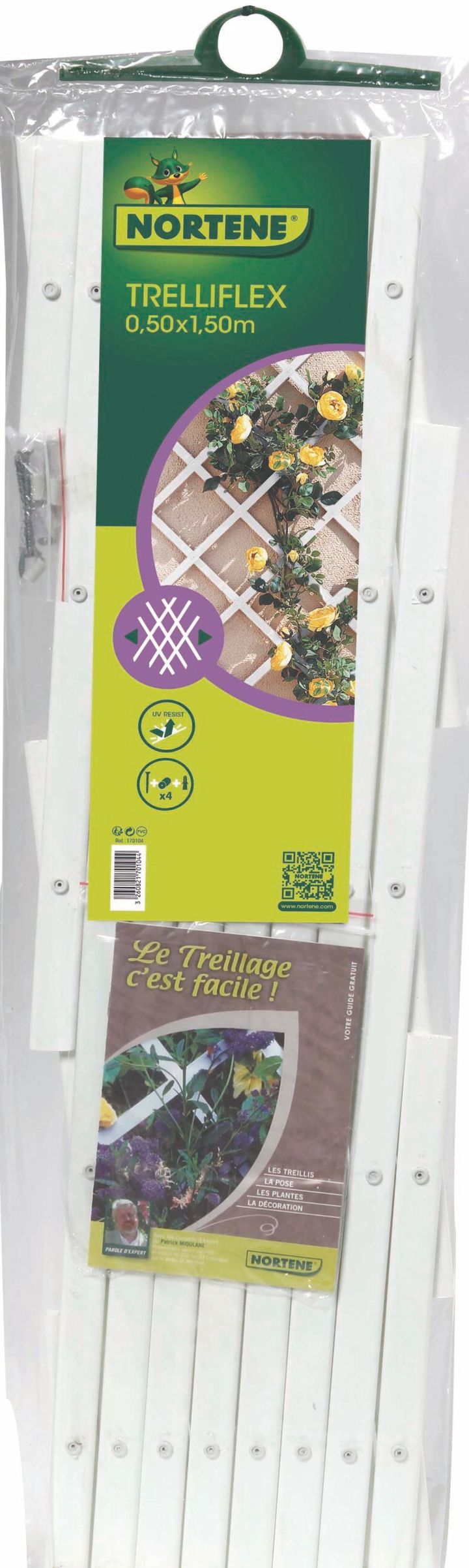 dekoratiuli-gisosi-10x20m