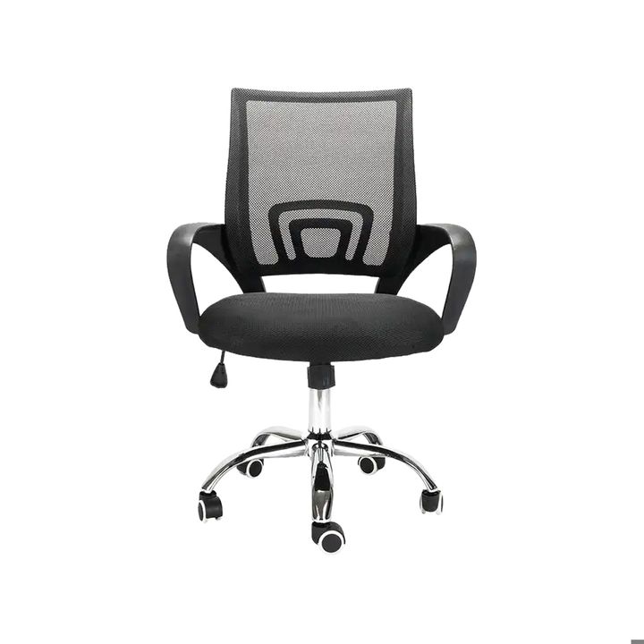 saofise-skami-badisebri-sazurgit-gorgolachebze-photo-3