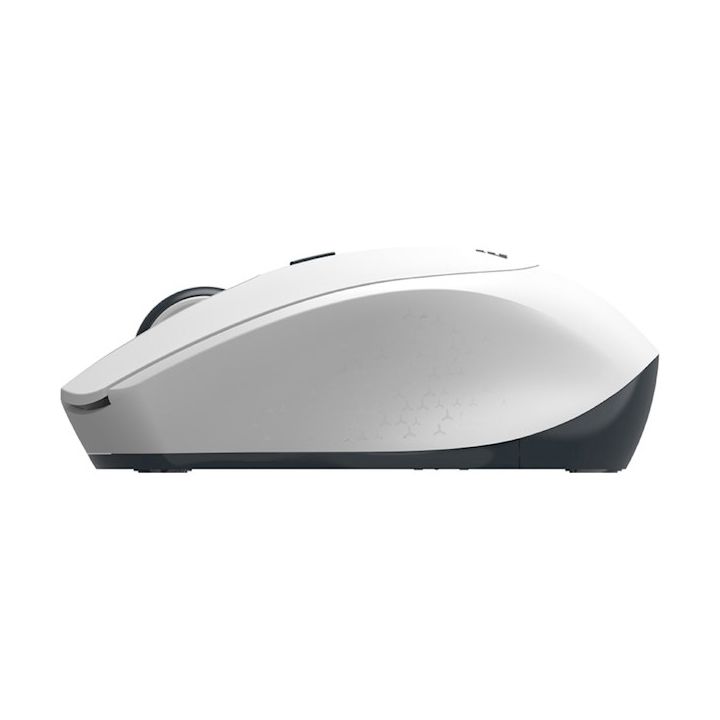 2e-mouse-mf220-wl-usadeno-mausi-photo-2