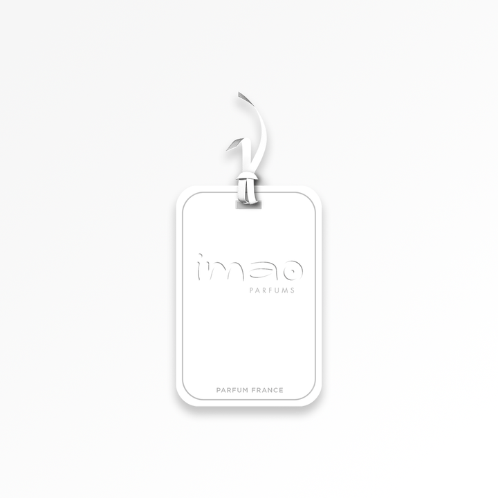 imao-parfums-aromatuli-barati-maiami-photo-2