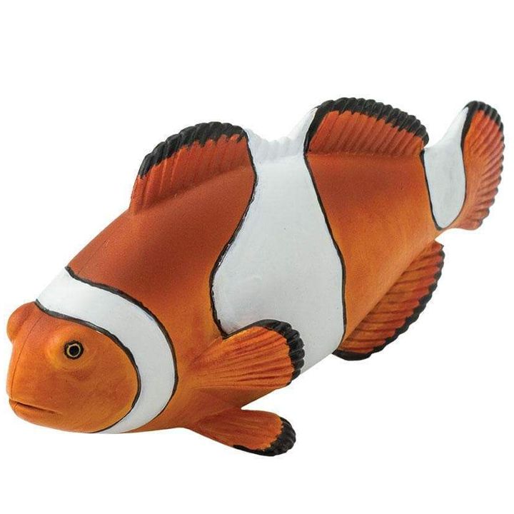 safari-clown-anemonefish-satamasho-figura-photo-2