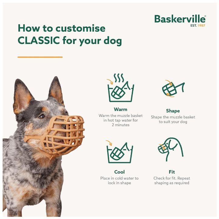 baskerville-classic-alikapi-dzaghlebistvis-photo-3