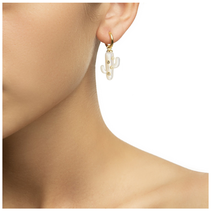 eshvi-saqure-mop-cactus-with-clear-crystals-photo-2