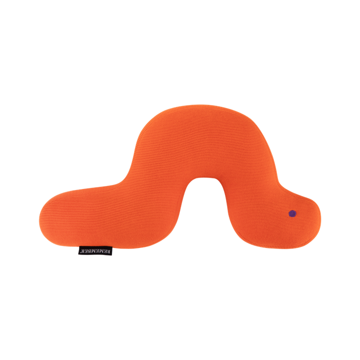 remember-caterpillar-frieda-sabavshvo-balishi