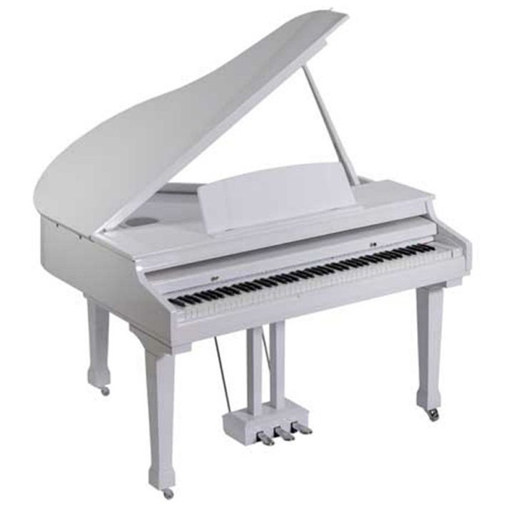 orla-grand-500-tsifruli-roiali