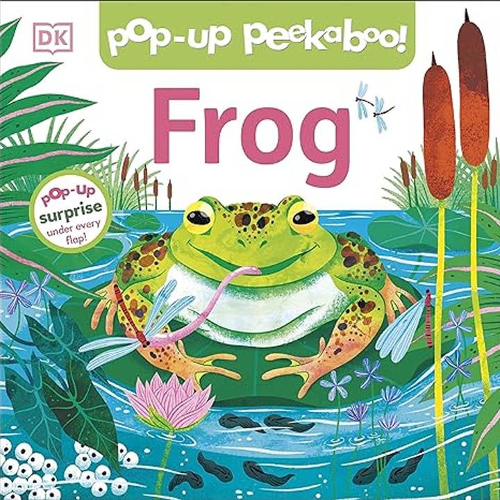 Pop-Up Peekaboo! - Frog