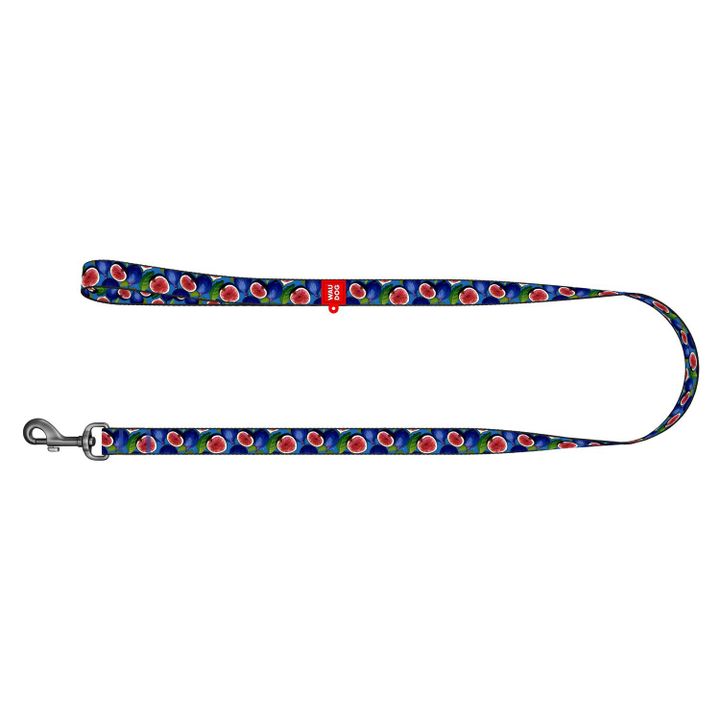 collar-dzaghlis-neilonis-sabeli-zoma-s-122sm-15mm-photo-2