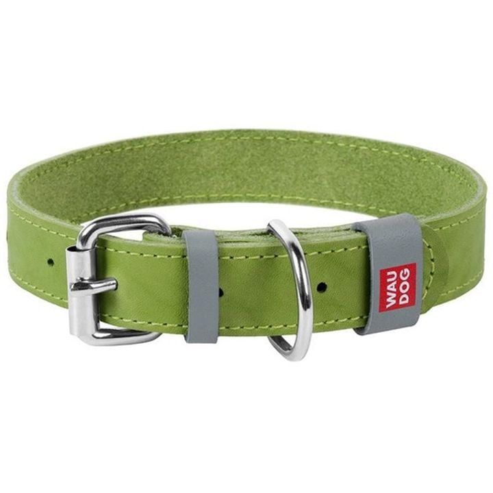 collar-dzaghlis-saqelo-photo-2