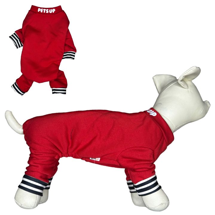 petsup-dzaghlis-tansatsmeli