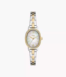 Product image of Fossil BQ5004 ქალის საათი