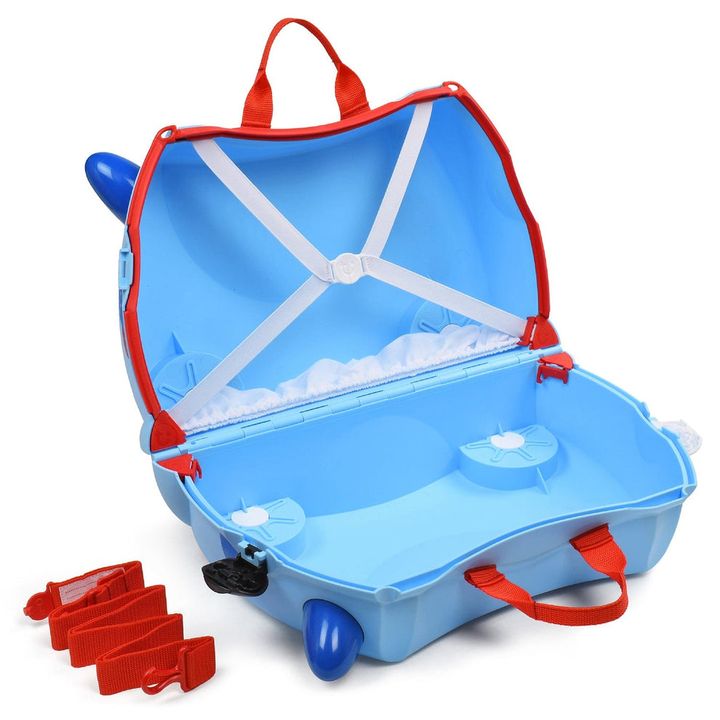 trunki-sabavshvo-chemodani-photo-2